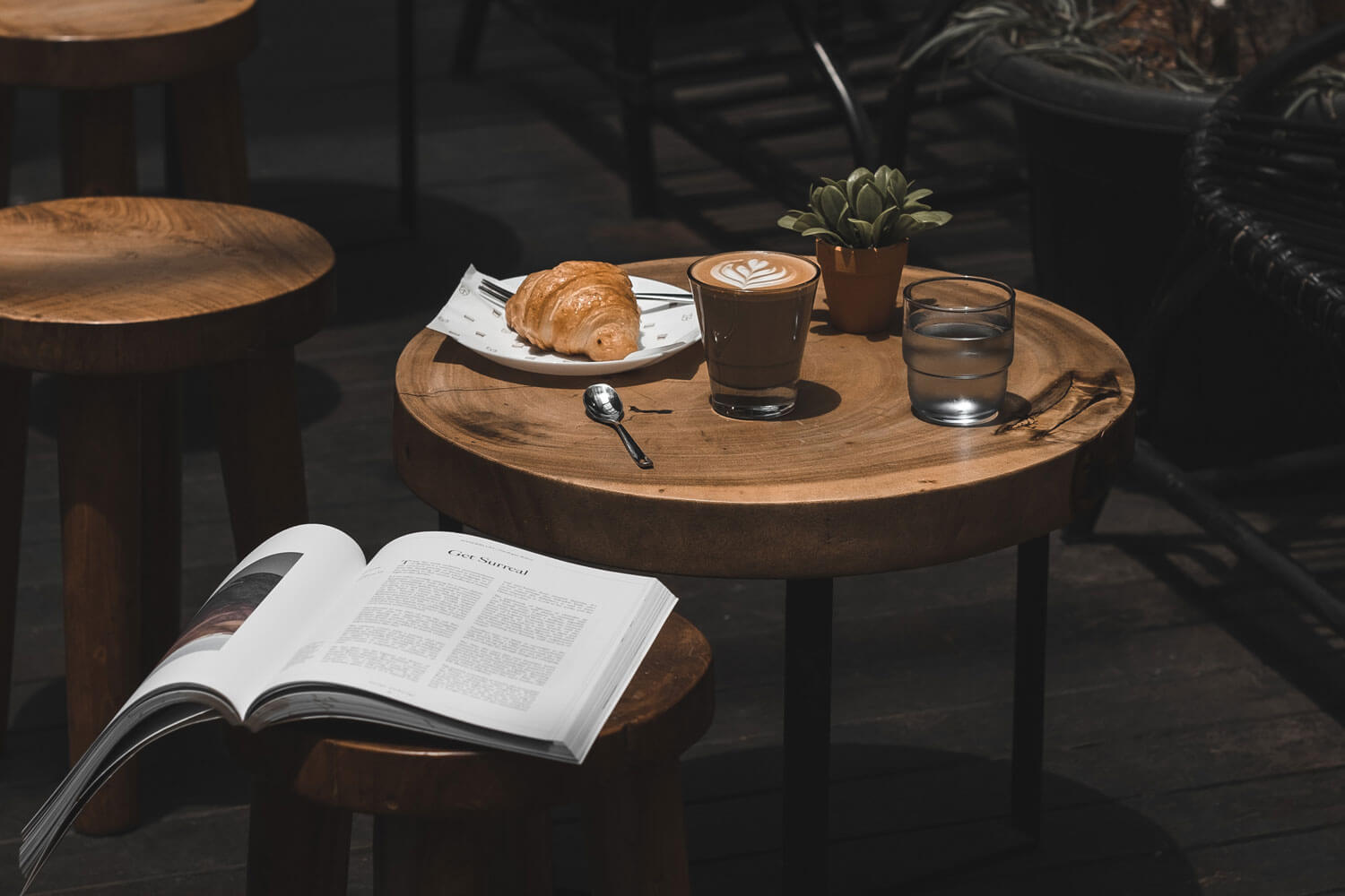 The Blue Armchair Johns Hopkins University Admissions