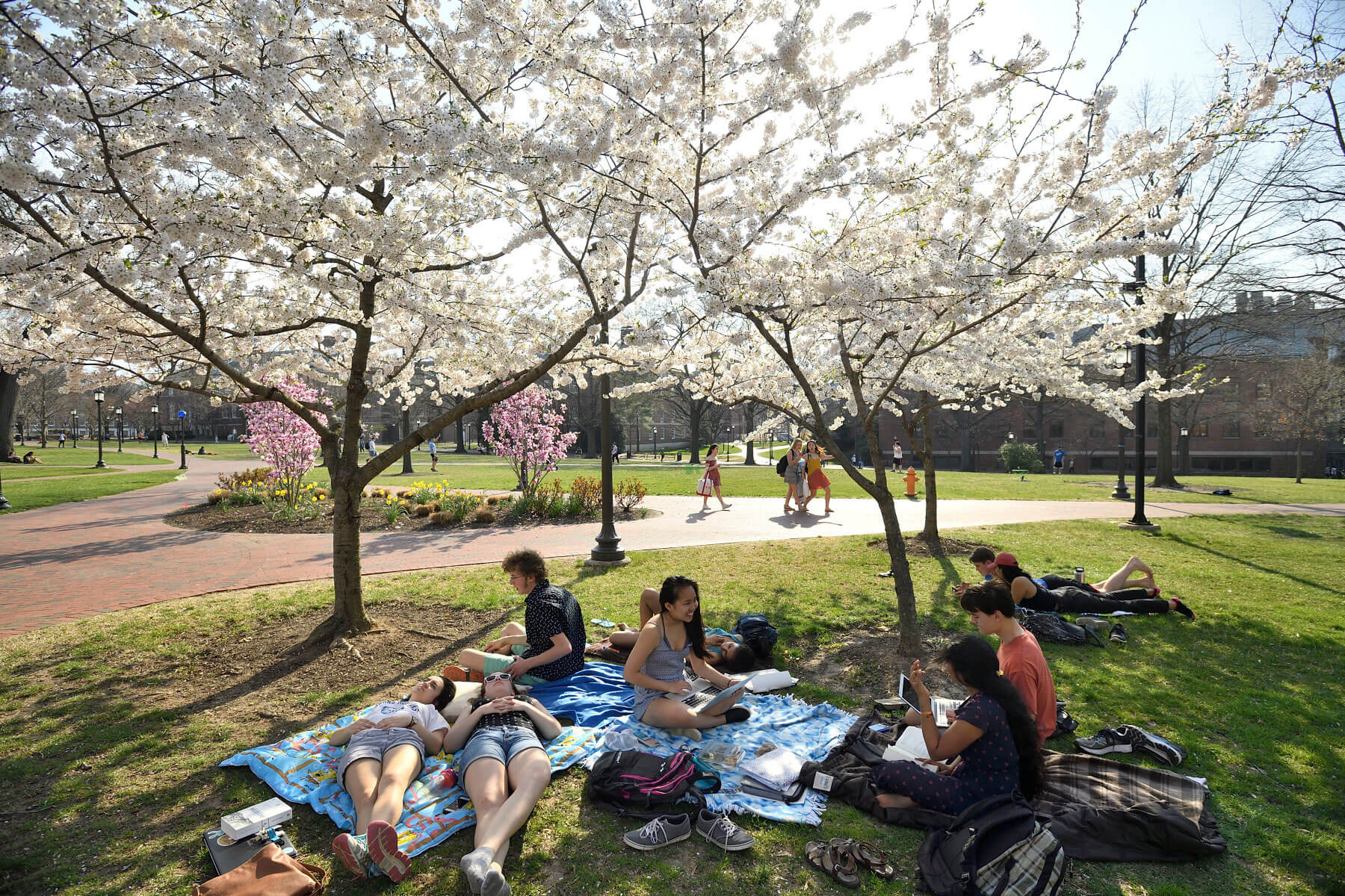 johns hopkins prospective student tours