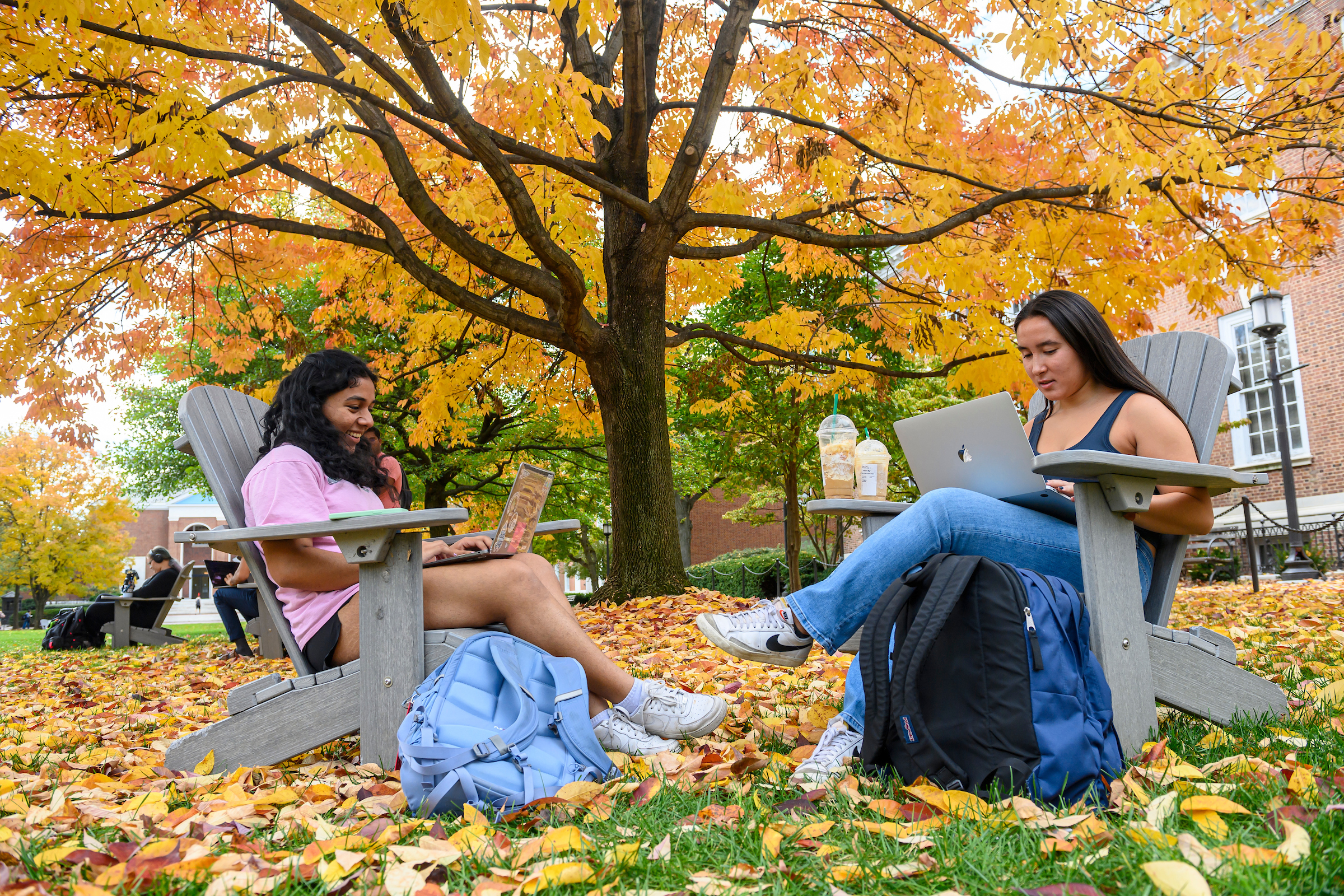 Students studying in Adirondak chairs surrounded by fall foliage