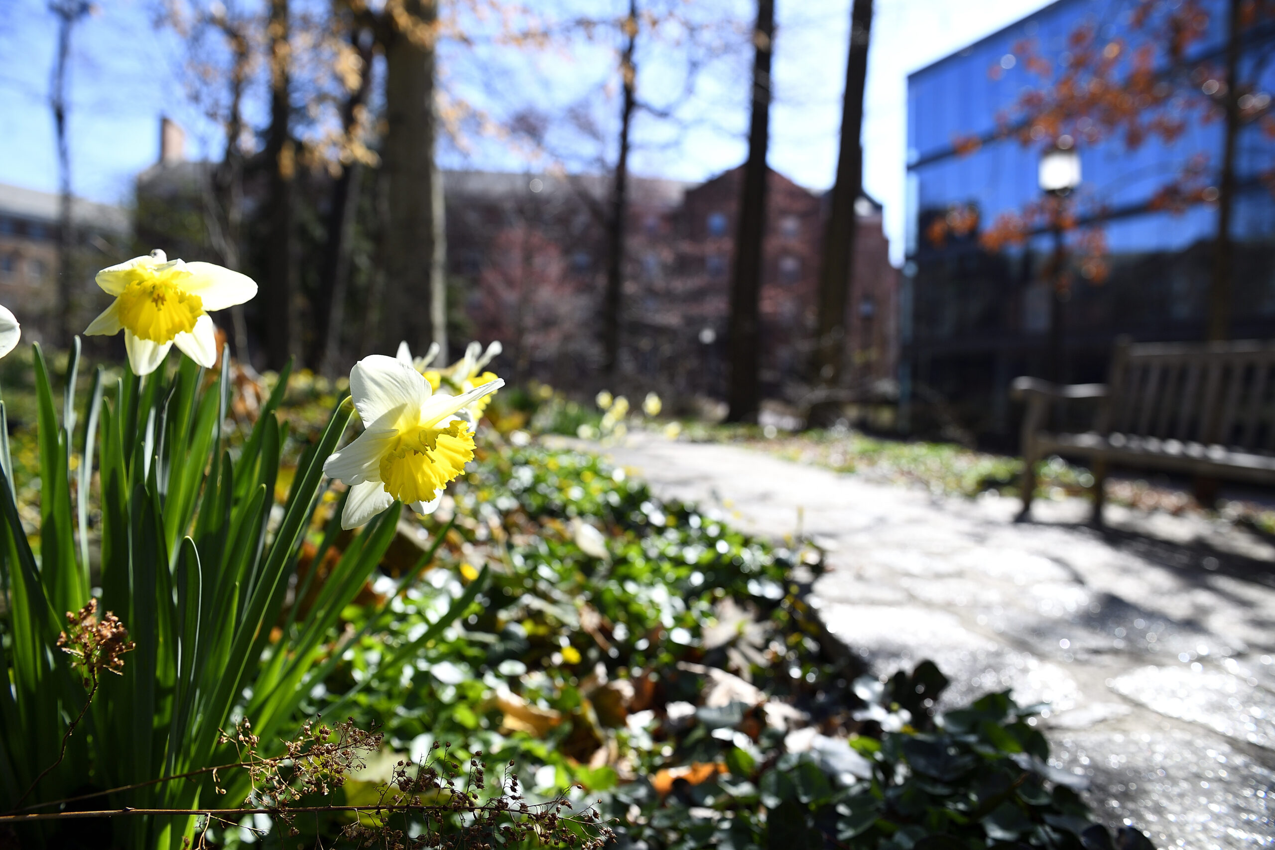 My Experience With the BDP Research Fellowship