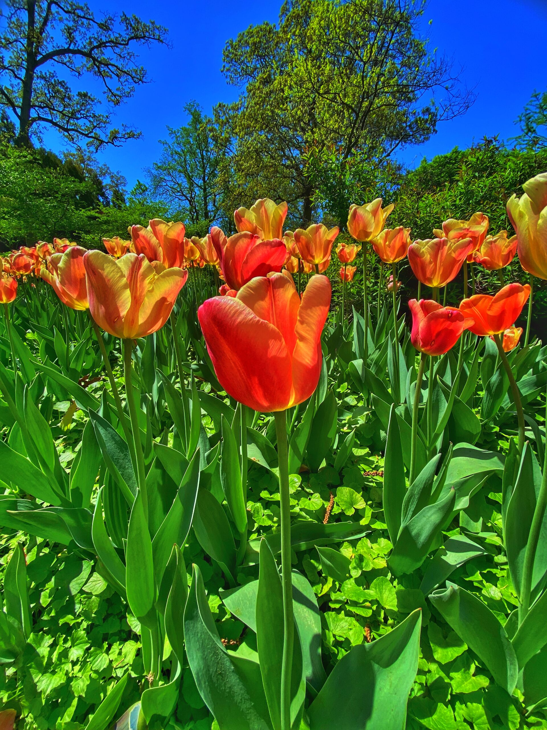 Older, Maybe Wiser (Still Not Great With Directions): My Shift from Mentee to Mentor 