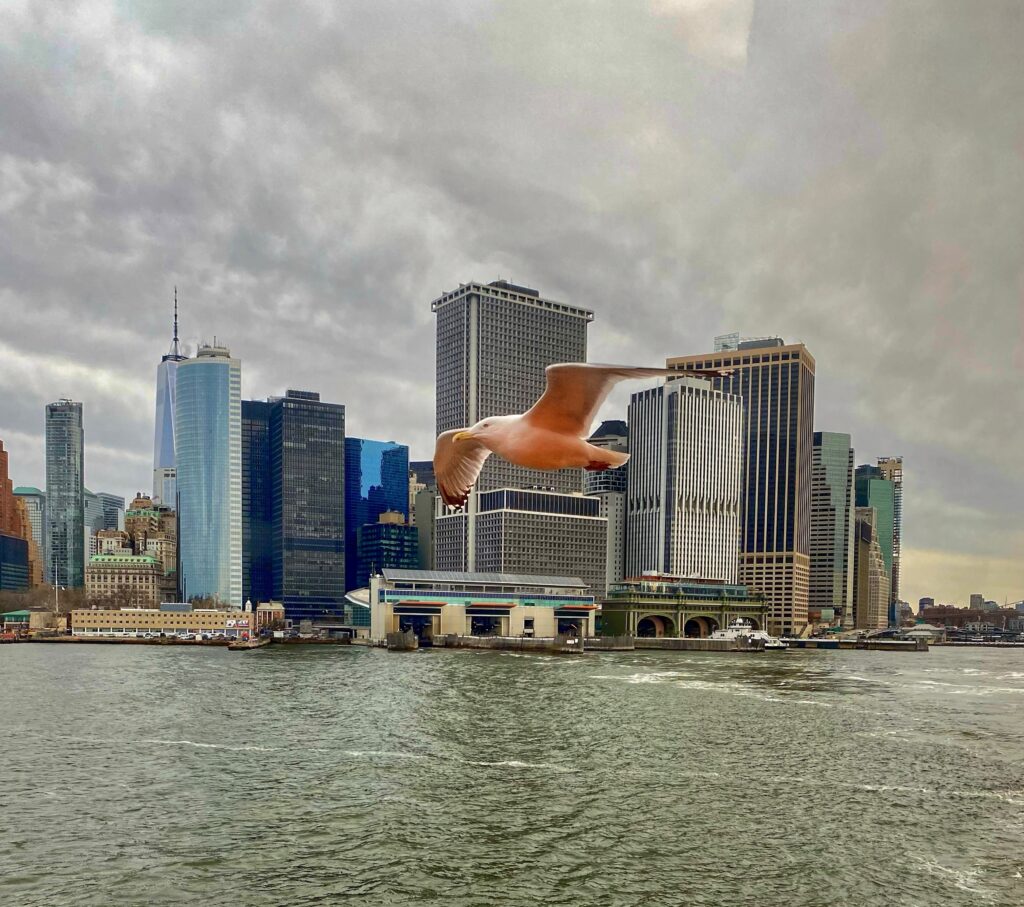 24 Hours in NYC