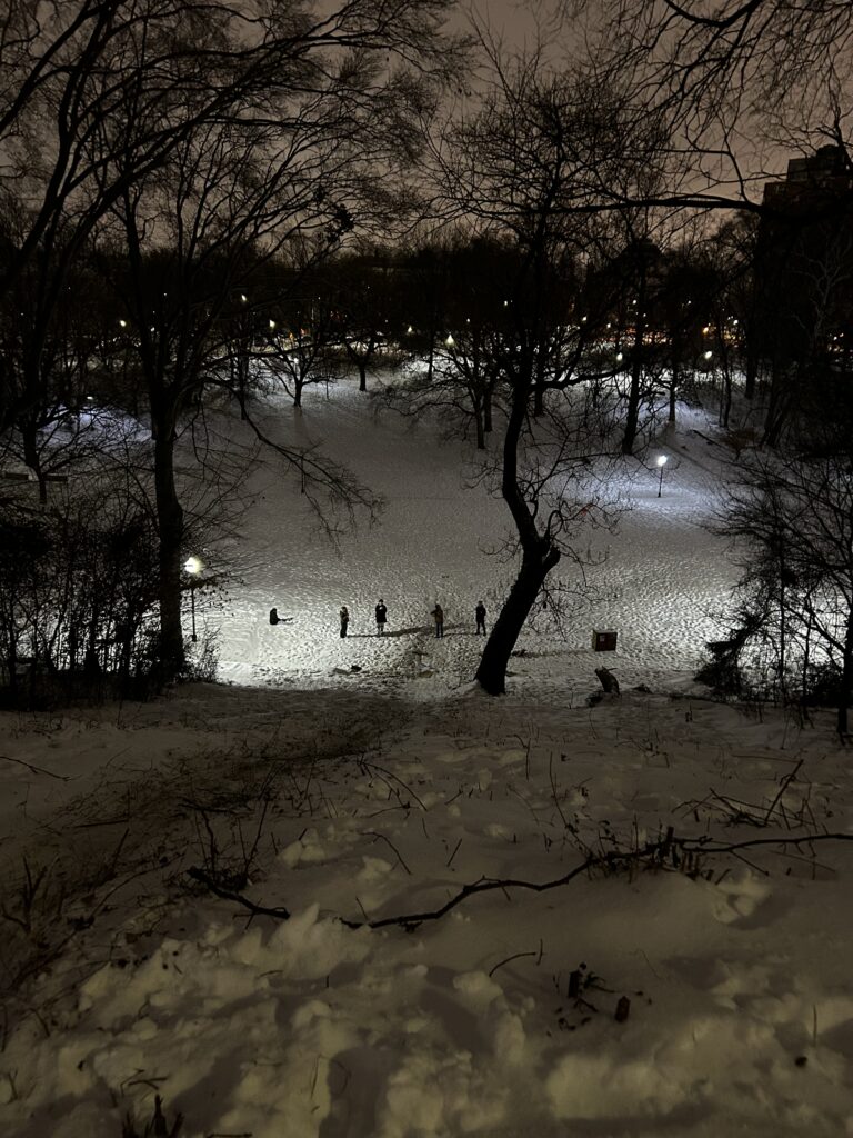 View from the top of a slope leading to Wyman Park Dell, which some friends and I sled down many times using scraps of Amazon boxes.