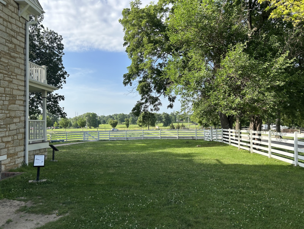 The Summer I Smelled Bad and Married a Horse