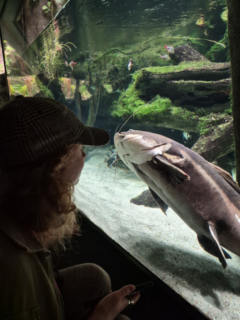 Going to the National Aquarium with a friend visiting from out of town